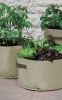 Light Weight Vegetable Patio Planters 3 Pack